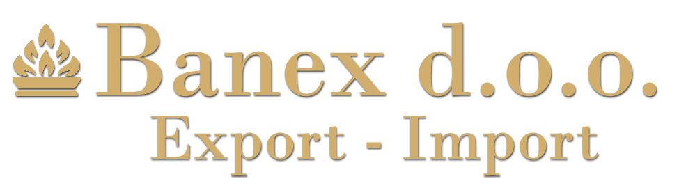 Banex Logo copy